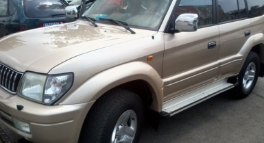 2_459004547.jpg