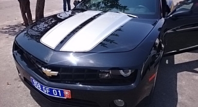 2_560470151.jpg
