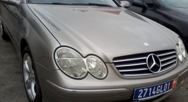 2_568955466.jpg