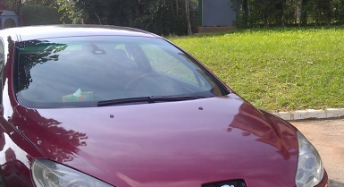2_64516624.jpg