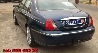 2_781822780.jpg