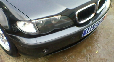 2_803869285.jpg