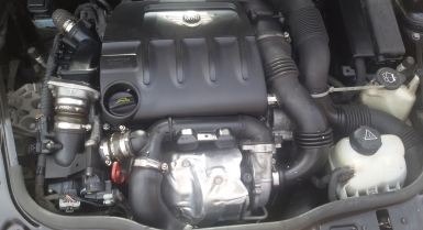 2_880063665.jpg