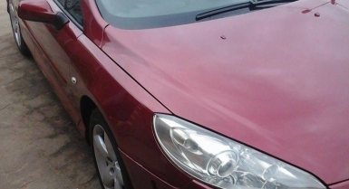 2_921062829.jpg