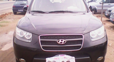 3_920202097.jpg