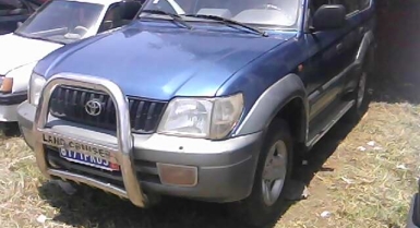 4_378620109.jpg