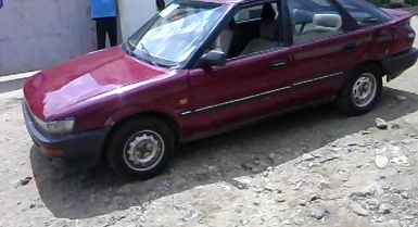 4_401384446.jpg