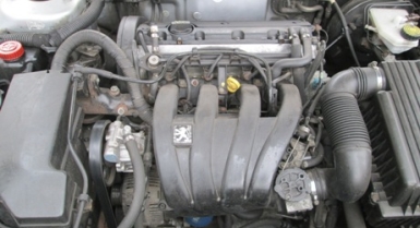 4_555046505.jpg