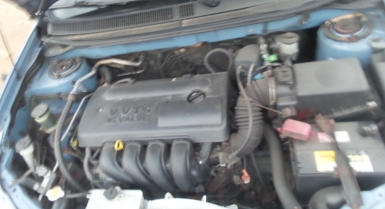 4_783789486.jpg