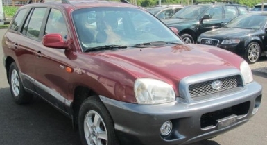 4_870573878.jpg