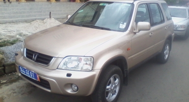559_380662206.jpg