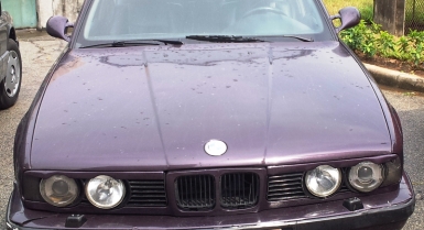 5_376479791.jpg