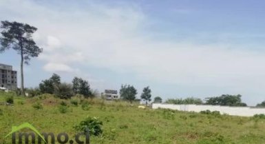 TERRAIN DE 1200 m2 A FAYA- En vente