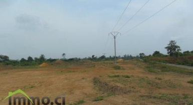 Terrain de 3 hectares avec ACD à céder à Yamoussoukro