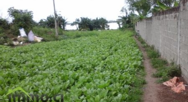 Terrain à la riviéra 4, près de la cite eden 4