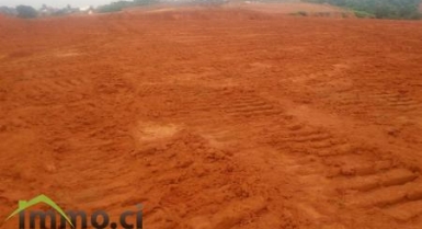 Terrains de 20 ha à Angré dans le perimetre du nouveau chu