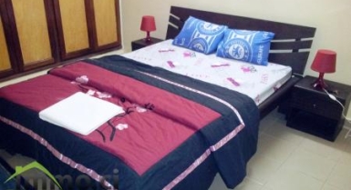 APPARTEMENTS DE VACANCES, TOURISMES, AFFAIRES