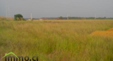 TERRAIN DE 900m2