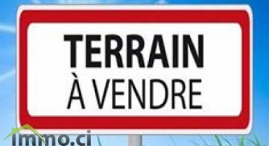 Terrain de 2000m²