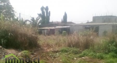 Parcelle de 40 hectares à ebimpe