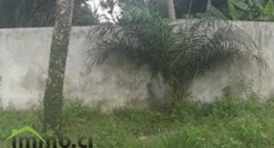 VILLA INACHEVEE sur 2000m²