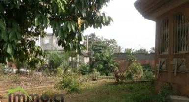 Terrain commercial de 2300m2