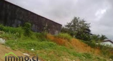 TERRAIN DE 600m2