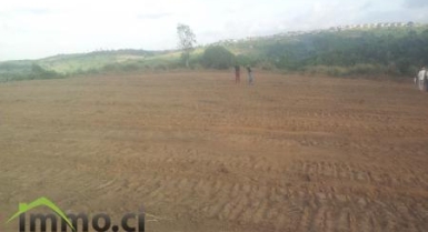 Terrains de 150m2, 300m2, 500m2