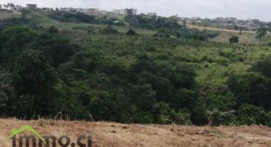 2 hectares de terrains dans la zone d’Angré