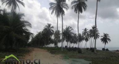 Site de 9.936 M2 avec acd à Jacqueviille Avagou