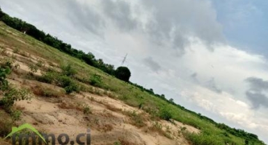 SONGON MAIRIE 32 HECTARES AVEC ACD