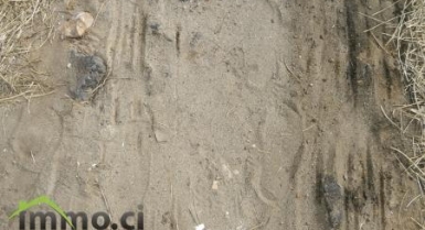 TERRAIN DE 600M2 AVEC ACD