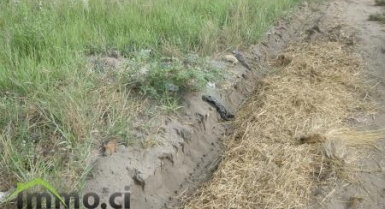 PLUSIEURS TERRAINS A VENDRE