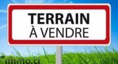 terrainen vente à Jacqueville