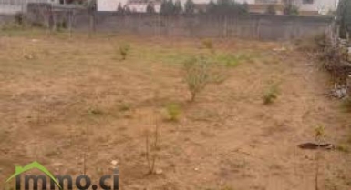 TERRAIN DE 600M2