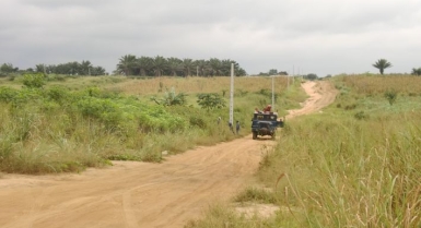 Des terrains de 600 m2