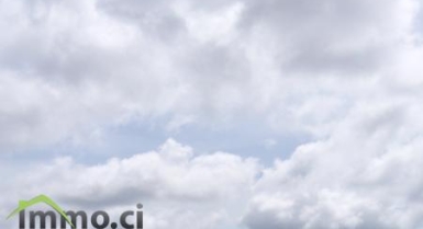 Terrain de 100 Hectares