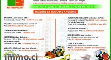 emergence immobilier