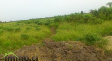 Terrain de 5 hectares