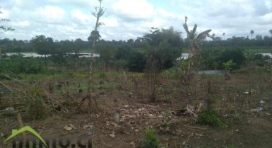 Terrains à Bonoua