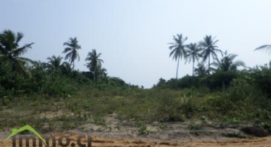 Terrains de 60 lots de 500m²