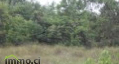 TERRAIN DE 26 HECTARES