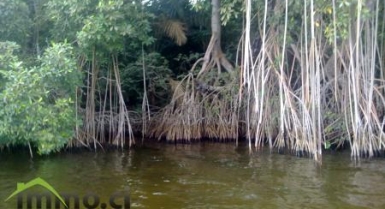 7 Ha en bordure de lagune