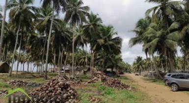 BAIE DES MILLIARDAIRE 50 HEC