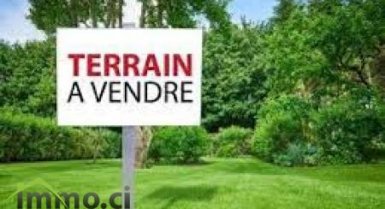 terrain en vente