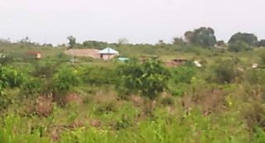 Vente de terrain à songon 11 terrains de 400m2 dont l'unité à 1.800.000FCFA.