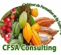 LOGO-CFSA-CONSULTING-678fdcfb1923b.jpg