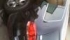 168_5_1429279270.jpg