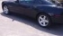 2_334734315.jpg