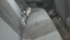 2_89585450.jpg